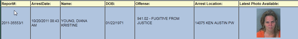 young diana kristine arrest report.png